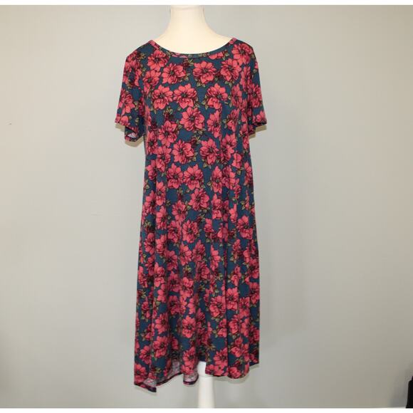 LuLaRoe Carly Hi-Lo Swing Floral Dress Size L T Shirt Blue Pink Pullover - Picture 1 of 10